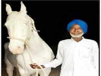 NREGA worker & Lok Sabha candidate get horse worth Rs 1.15 crore as gift
