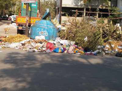 Emanating bad smell and mosquitos in Santoshnagar