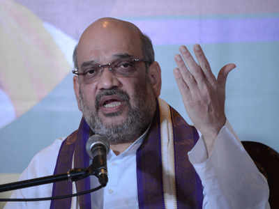 Vote for stability: Amit Shah