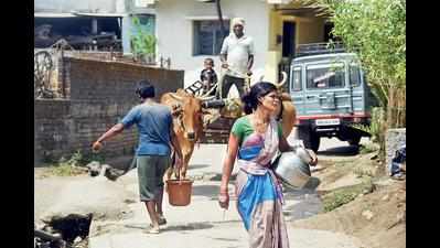 Wardha facing worst water crisis in decades, no supply cuts for industries
