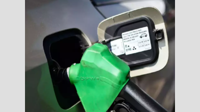 Fuel prices stable despite rising global crude oil rates