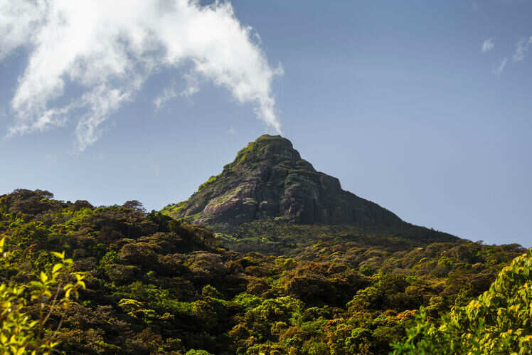 Adam's Peak