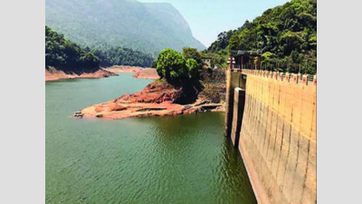 Corporation heaves sigh of relief as rain replenishes dam