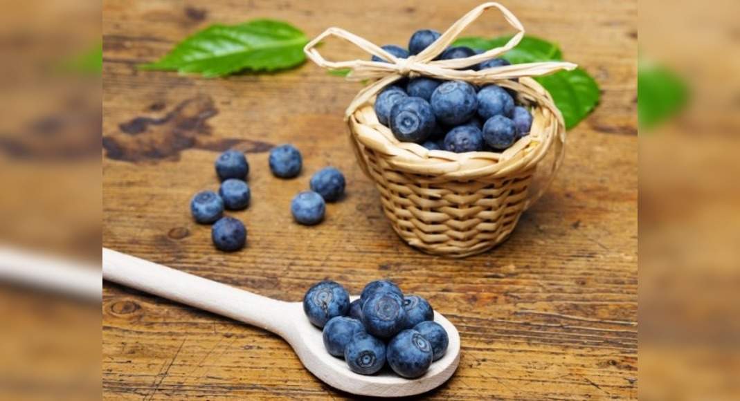 Health Benefits Of Blueberries You Should Know About