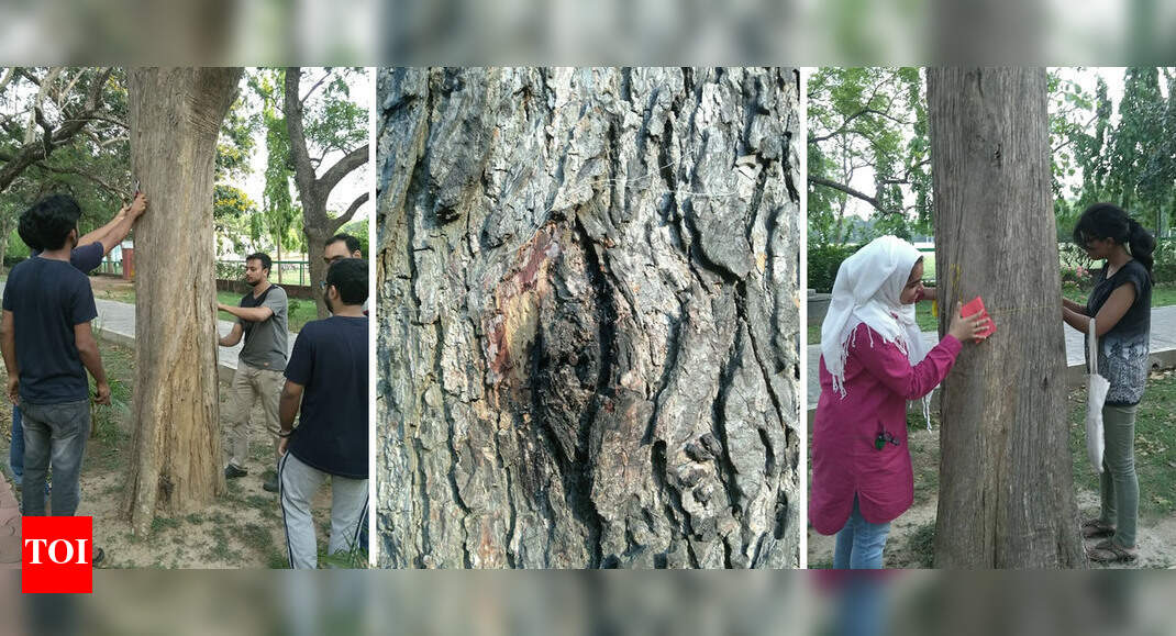 Un-nailing of trees on Earth Day - Times of India