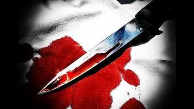 Delhi: Man fatally stabs brother, mother over flats