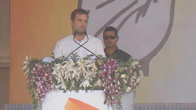 Rahul Gandhi promises separate 'kisan budget' if voted to power