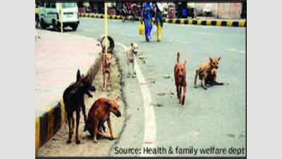 In 3 years, rabies killed 60 in Karnataka