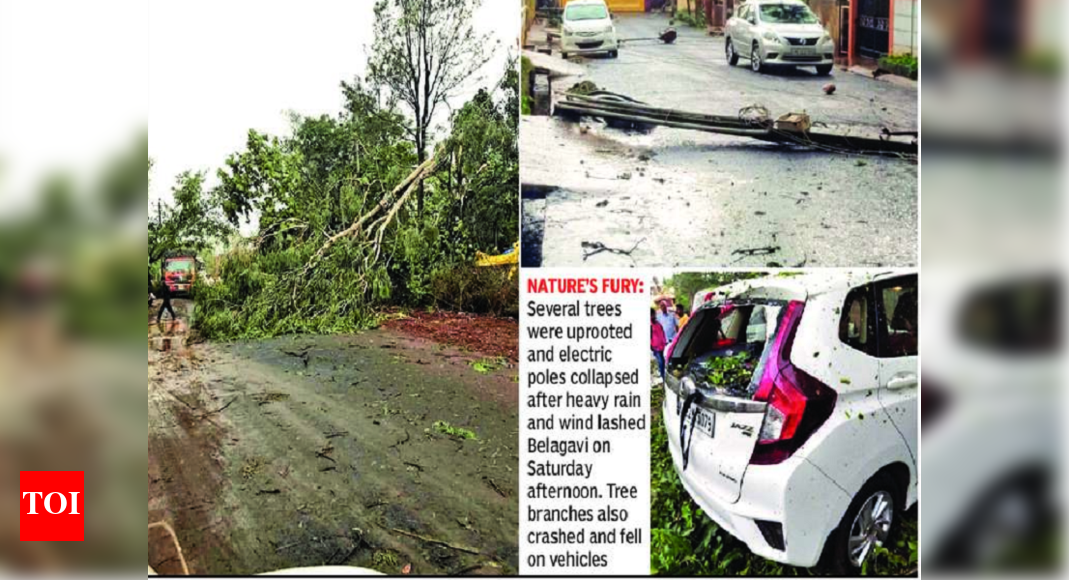 Heavy rain, wind uproots many trees, poles in Belagavi | Hubballi News ...