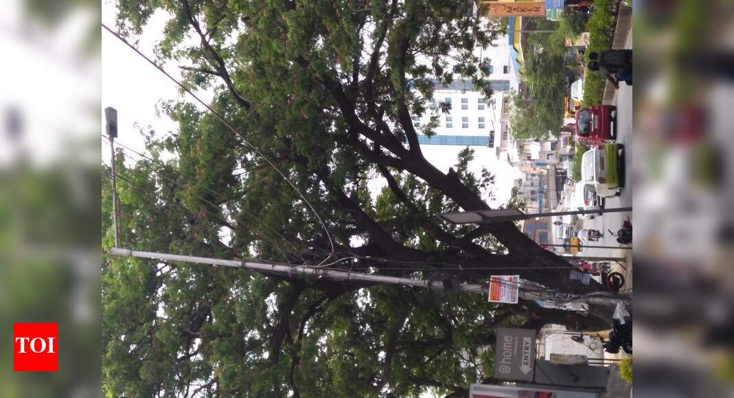 Lamp post not working in Nelson Manickam Road. Times of India