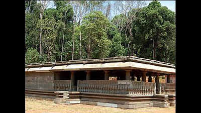 Bengaluru couple, villagers join hands to restore 11th century Shivamogga temple