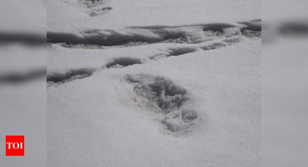 Yeti Footprints: Mysterious footprints of mythical beast Yeti