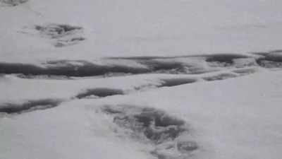 Mysterious footprints of mythical beast sighted, claims Indian Army