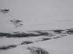 Indian Army team spots 'Yeti' footprints on Himalayas