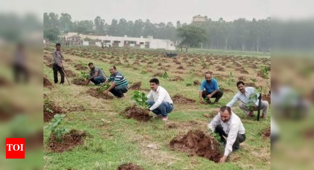 Tree Plantation: Chandigarh: Ambala division of Northern Railways ...
