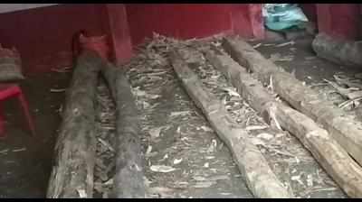 Teakwood logs stored illegally in private school seized in Mysuru