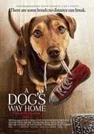 
A Dog's Way Home

