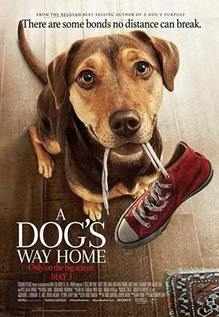 A Dog's Way Home