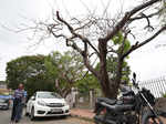 Cyclone Fani inches closer to Odisha, red alert sounded