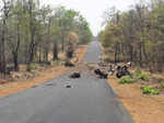 Naxals kill 15 security personnel, set ablaze 27 vehicles in Gadchiroli