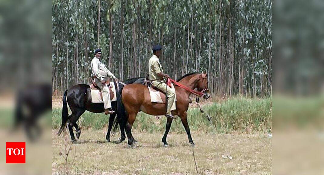 Horsemounted cops help protect crops from thieves Vadodara News Times of India