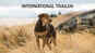 A Dog's Way Home - Official Trailer