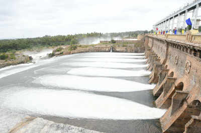Karnataka agrees to release 2.5 tmc water to Telangana