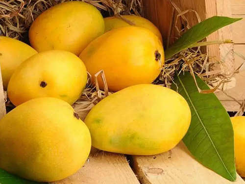 10 Indian Mangoes With GI Tags