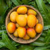 Rajasthani Swaad Homemade Mango Pickle Rajasthani Aam Ka Achar | Pack of 5  Jar [ 400 Gram Each ] : Amazon.in: Grocery & Gourmet Foods
