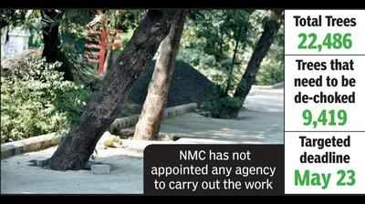 NMC to de-choke 9,419 trees