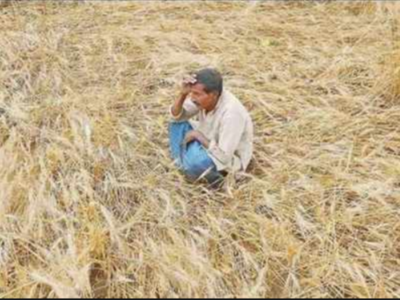 Lok Sabha elections: Farm loan waiver to be the decisive factor in Madhya Pradesh?