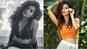 Mallika Dua to Mithila Palkar, meet the internet stars who made it to big-screen!
