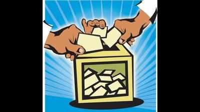 Quirky poll symbols to challenge bigwigs in Allahabad, Phulpur