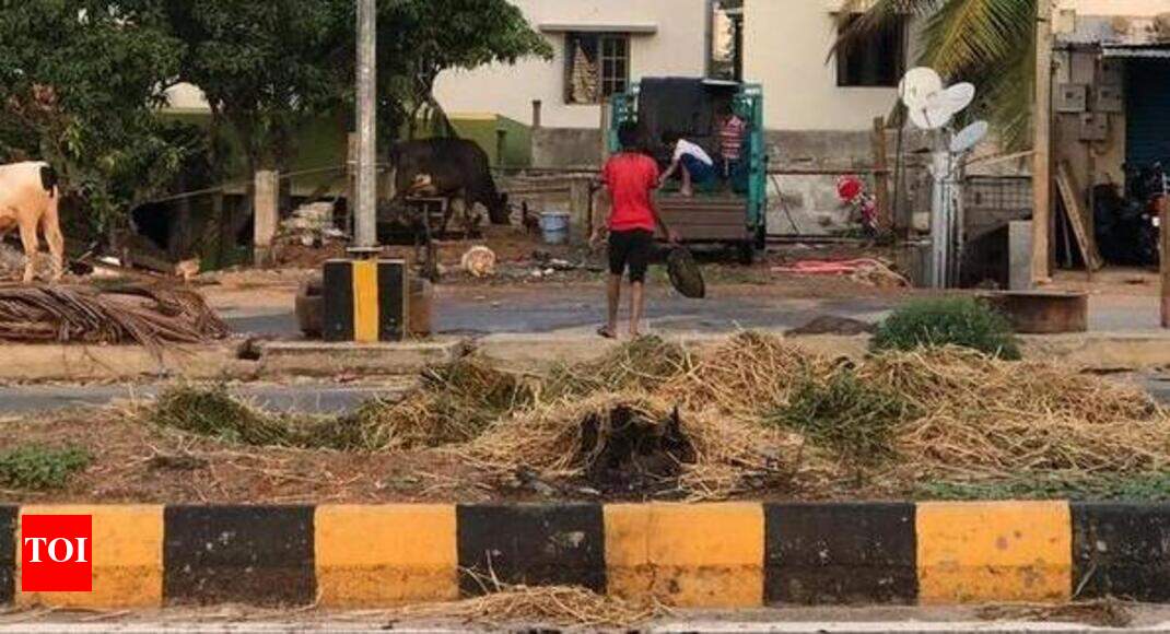 ORR median used to dump garbage and liquor bottles Mysuru News