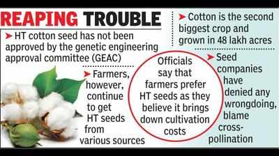 Telangana frets as HT cotton finds roots in state