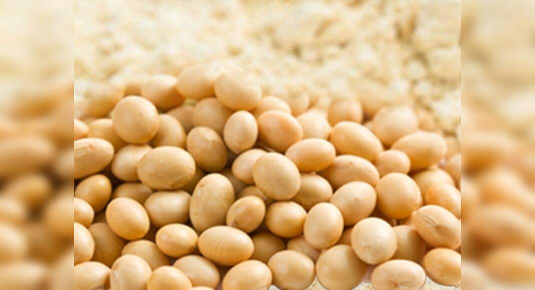 Soy Protein And Cholesterol Soy protein could help lower cholesterol