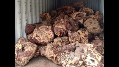 DRI Chennai zone seizes red sanders logs, gold and mollusc shells
