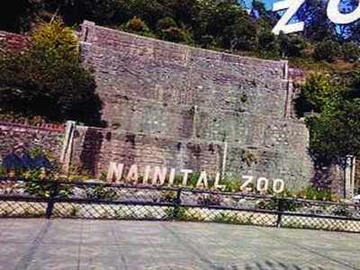 232 animals died in Nainital Zoo from 2001 to 2018: RTI | Dehradun News -  Times of India