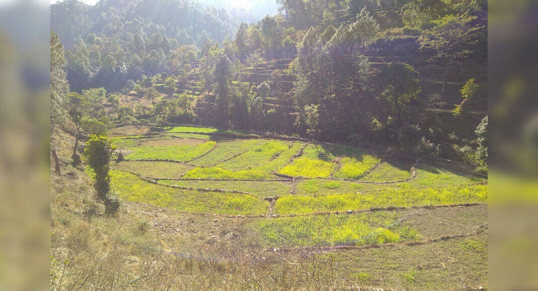 A destination called Raithal in Uttarkashi is a mini utopia Times of