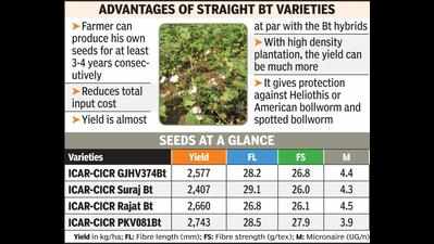 CICR develops four straight Bt cotton varieties
