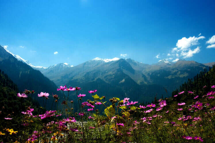 Pin Parvati Pass, Himachal Pradesh