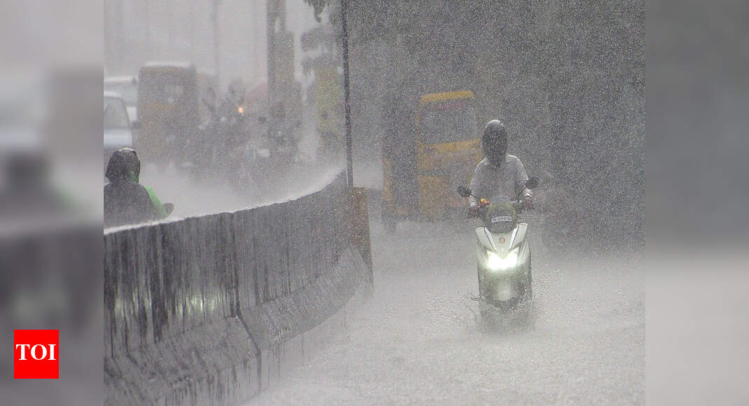 25,000 banana plants damaged in heavy rain and wind in Erode | Erode ...