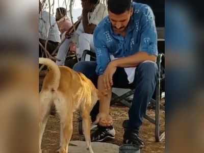 Akshay Kumar shares a video with a 'hungry' dog from sets of 'Laaxmi Bomb'; but fans are talking about his moustache look instead
