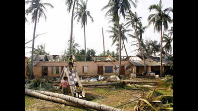 Forest department worst hit in cyclone Fani, over 14 lakh trees uprooted: Government
