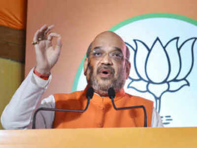 BJP to scrap Art 370 if voted back to power: Amit Shah