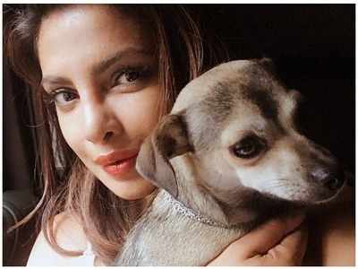 Priyanka Chopra’s pet pooch Diana has a heart-warming Mother’s Day message for her