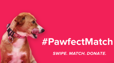 Tinder now lets you find the 'pawfect' partner - Times of India
