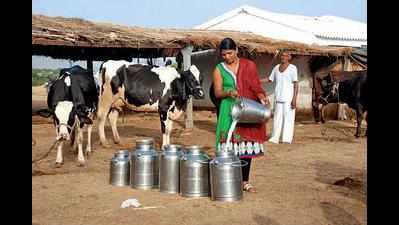 After a year, milk procurement prices revised upwards by co-operatives