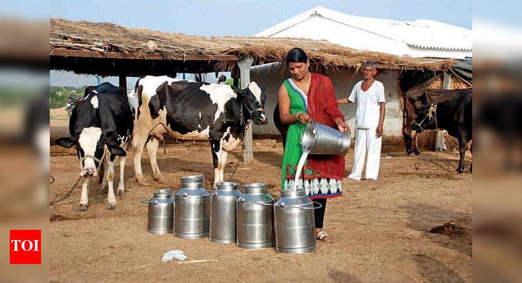 After a year, milk procurement prices revised upwards by cooperatives