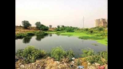 Noida to clear ponds, wetlands of construction waste, fence them